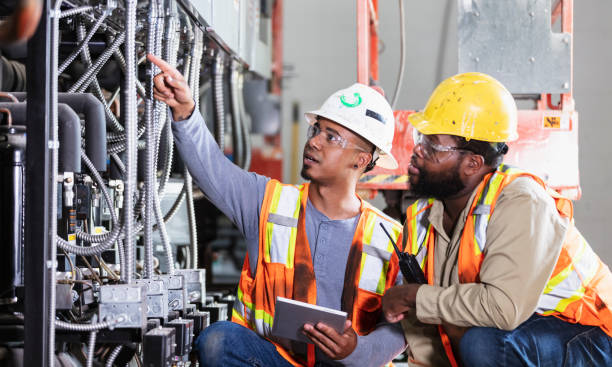 Best Electric Panel Repair  in Lester Prairie, MN