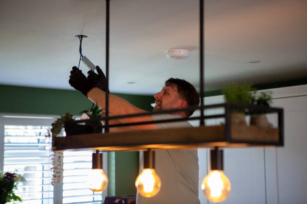 Best Electrician for Home Renovation  in Lester Prairie, MN